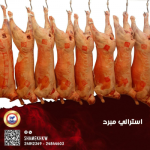 خروف استرالي مبرد